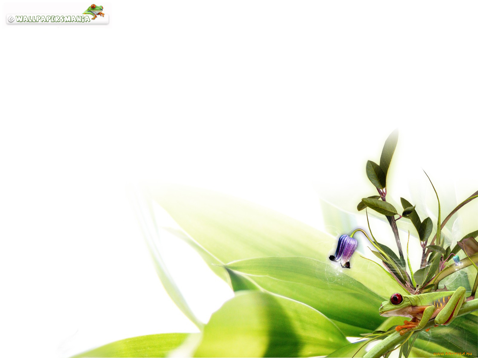 , desktop, decor